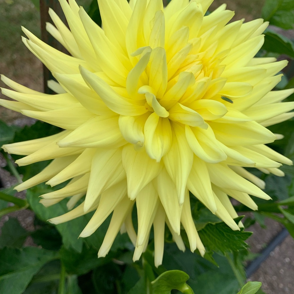 Meet your Posher, Hayley